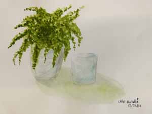 Plante verte