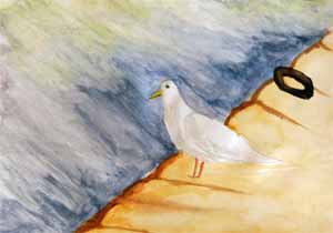 Mouette