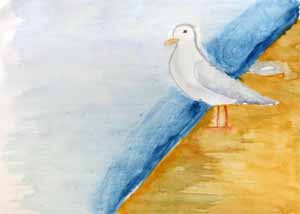 Mouette