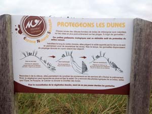 Exploration des dunes