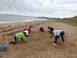 Exploration des dunes