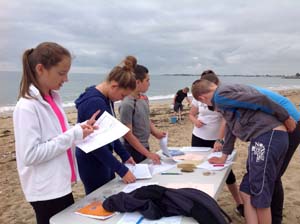 Exploration des dunes