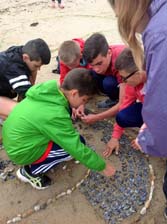 Land Art - Sand Art
