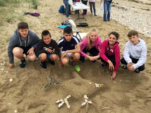 Land Art - Sand Art