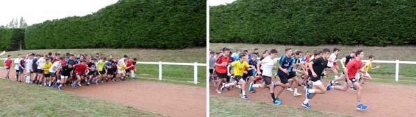 cross2018-11