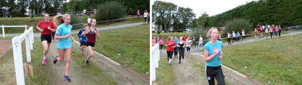 cross2018-8