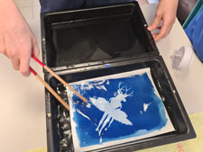 6e-cyanotype-6