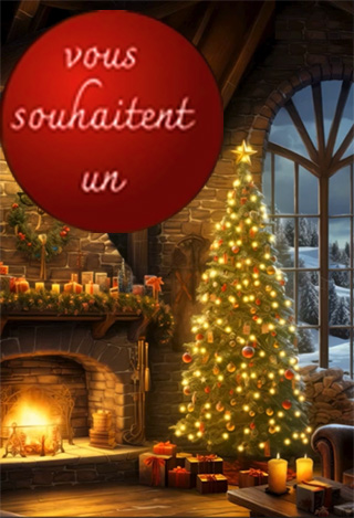 voeux-noel2025-2-5