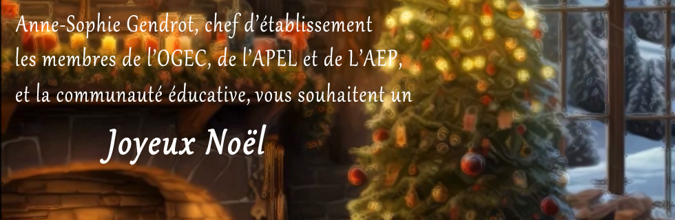 voeux-noel2025-header-4jpg