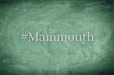 mammouth-affiche-compagnie-populus-incertitus